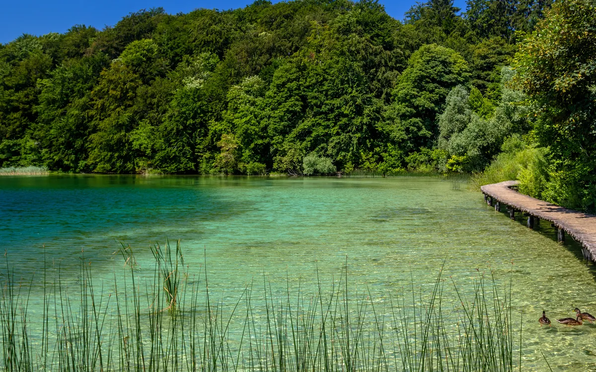 Turquoise water and travertine cascades at Plitvice, Croatia